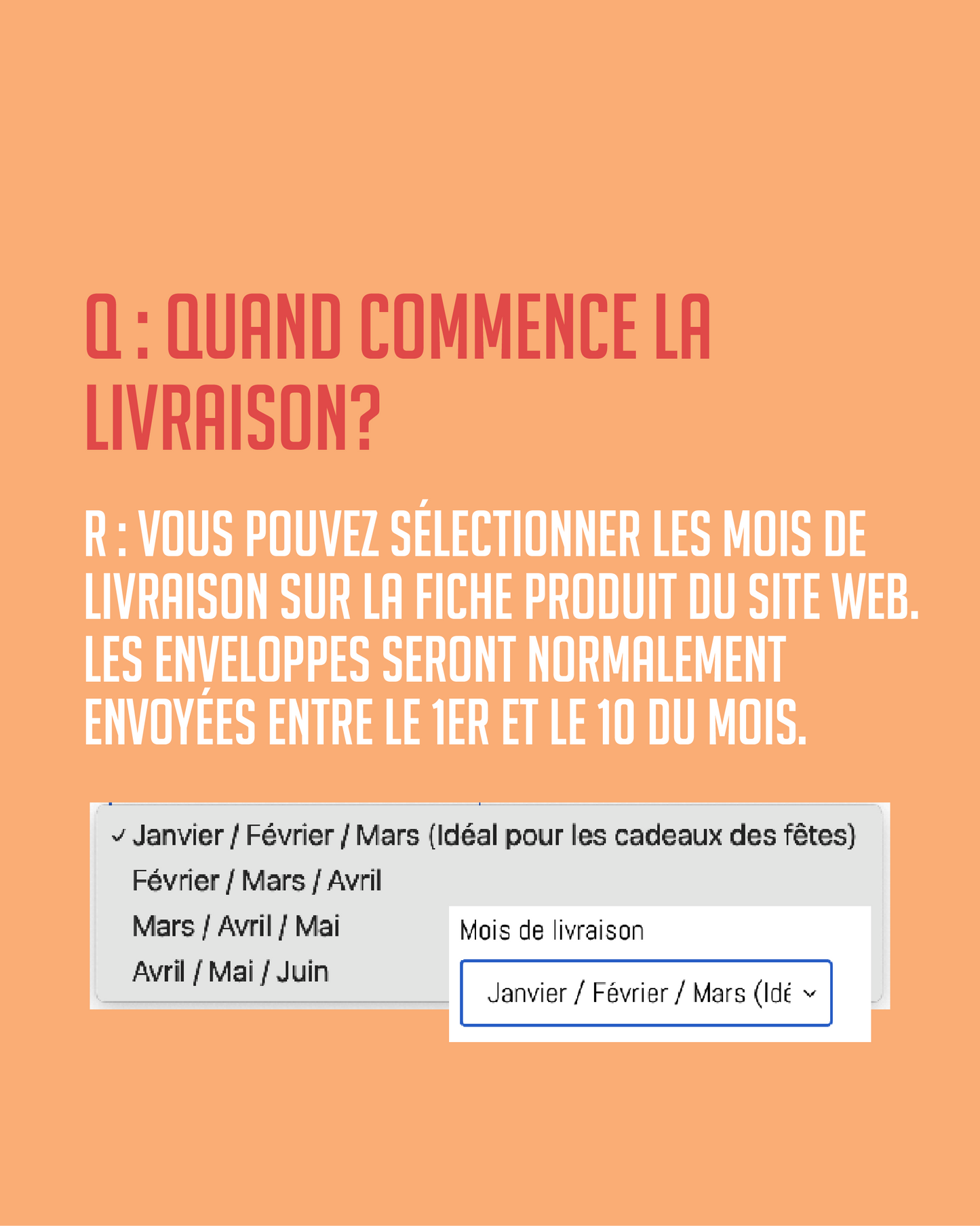 Énigmes mensuelles - 3 mois - Énigmaland (Livraison gratuite)